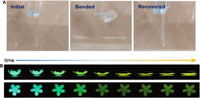 Smart Actuators Based on External Stimulus Response